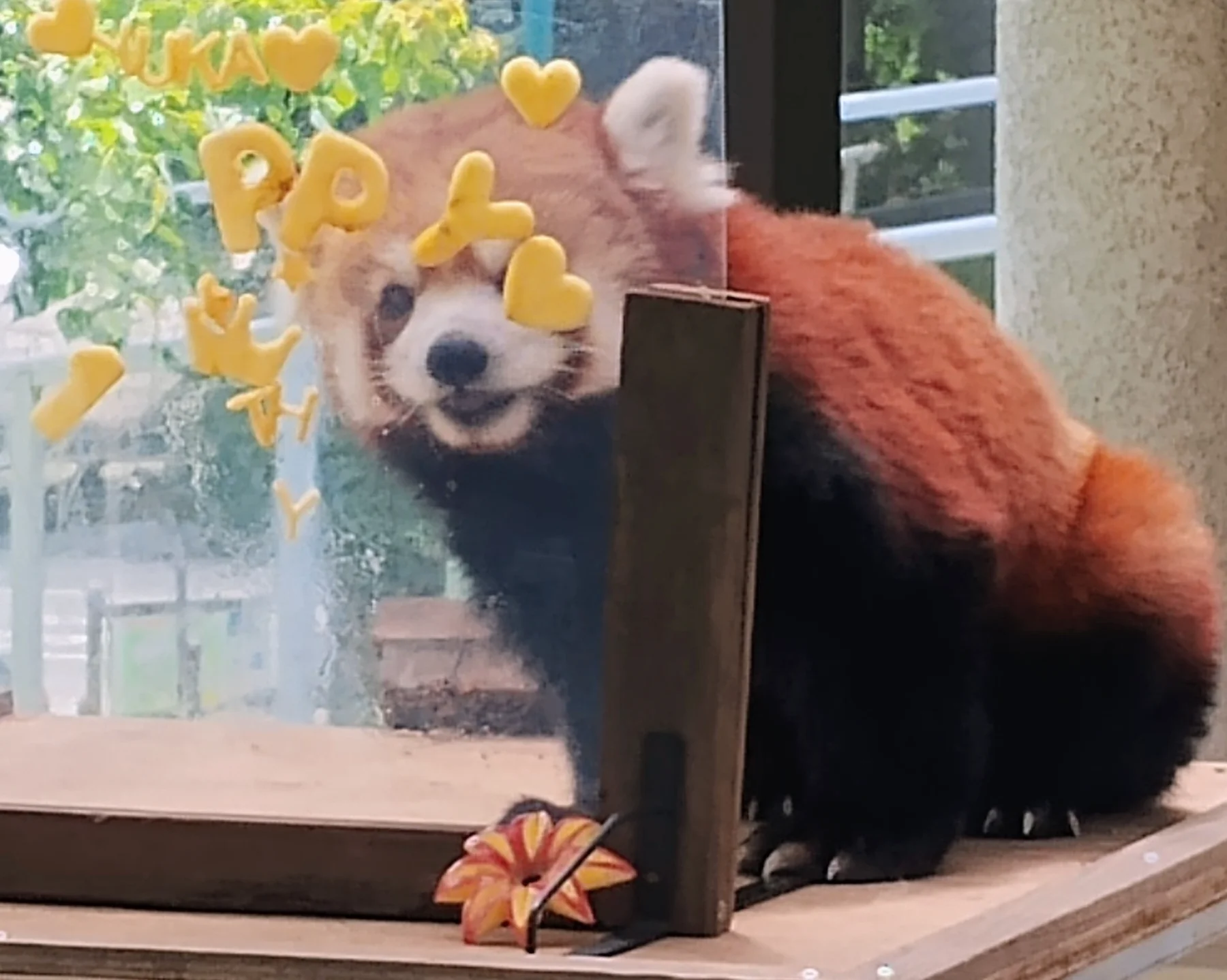 優香の投稿写真