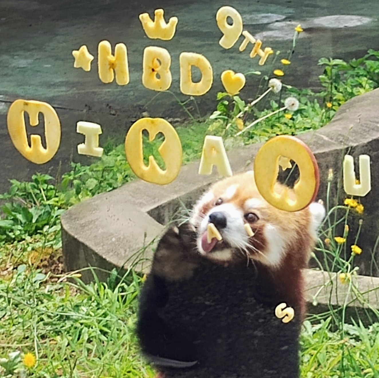 輝の投稿写真