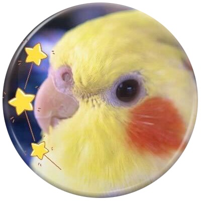 プチトマのプロフィール画像