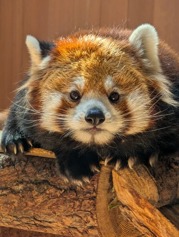 しげのプロフィール画像