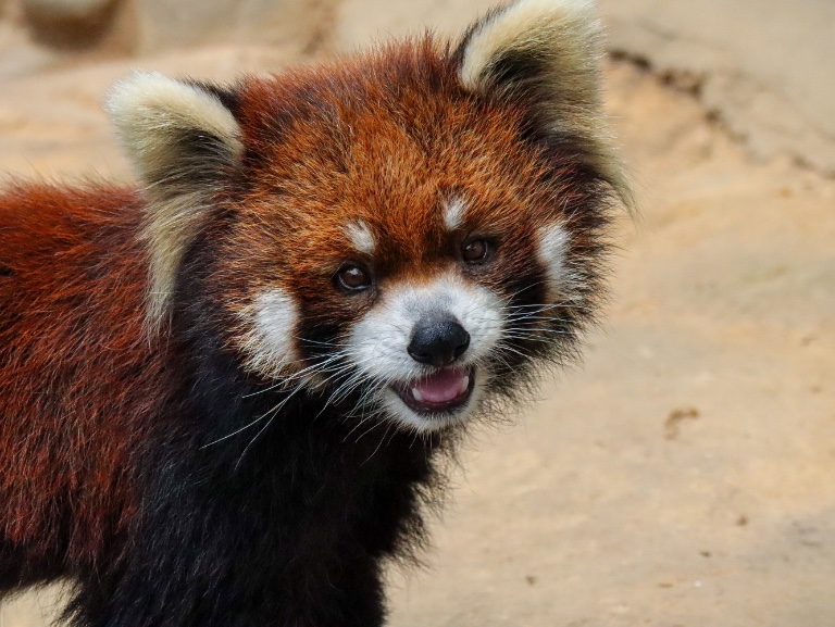 hinaのプロフィール画像