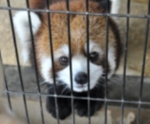hideのプロフィール画像
