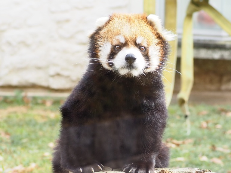 チカのプロフィール画像